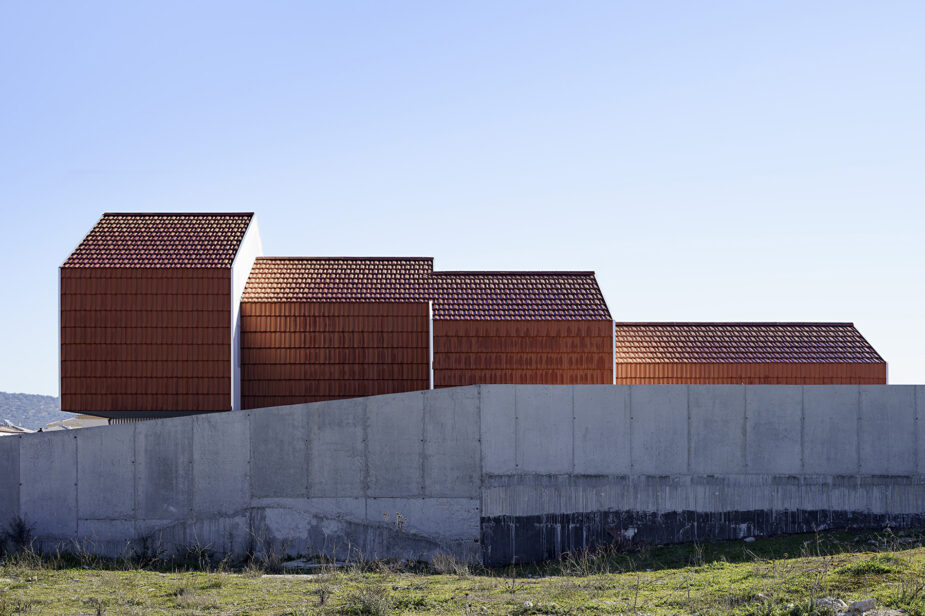 Casa Armadillo